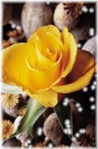 Obituary of Lenore Grace Lesnau