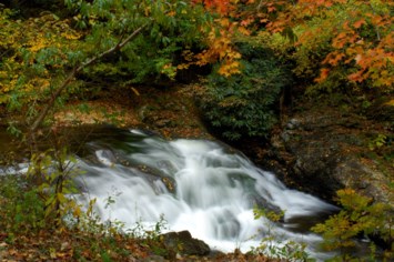 Obituary of James B. Elam Jr.