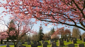 Obituary of James Dewey Power