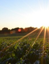 Obituary of Clayton  Eugene Parks