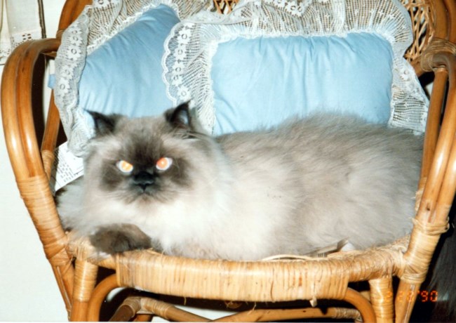 Michael Thouin Obituary Kingsport Tn