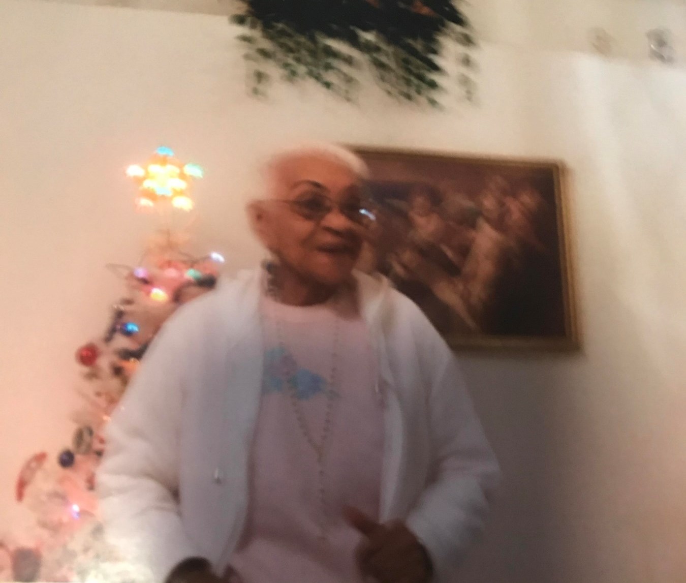 Nieves Gonzalez Obituary Tampa, FL