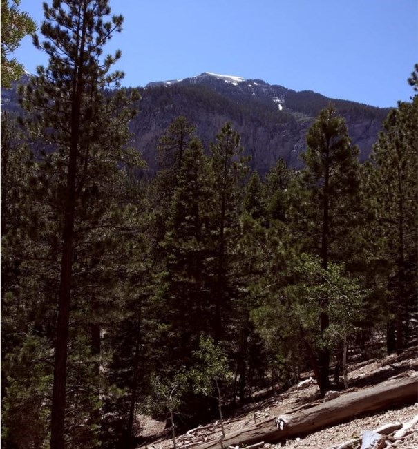 Obituary of Larry Raymond Brock