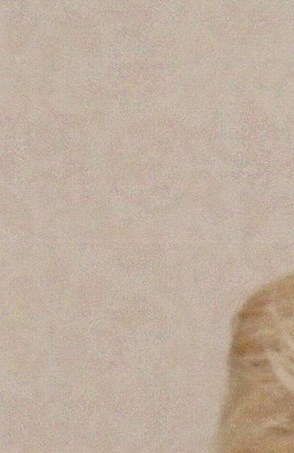 Brenda Bills Obituary Texarkana, TX