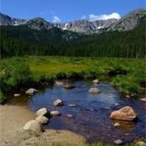 Obituary of Jack Carroll Walker