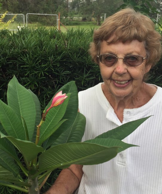 Obituary of Jean Ann Knorr