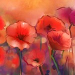 Barbara Clegg