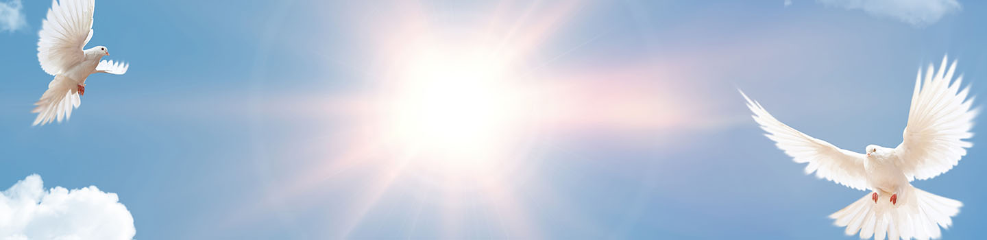 Obituary banner image